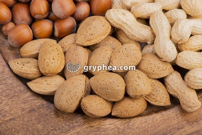 Fruits secs (Amandes) - gryphea.org